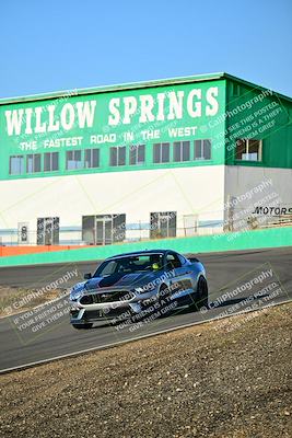 media/Feb-01-2025-Turn8 Trackdays (Sat) [[5681b0f63a]]/Inter 2/Session 1 (Turns 4b and 5)/